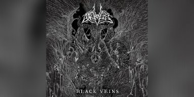 New Promo: Arktotus - Black Veins - (Melodic Black Death Metal)