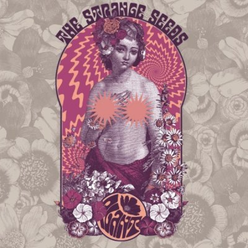 The STRANGE SEEDS: Plant - Reviewed by Hard Rock Info!
