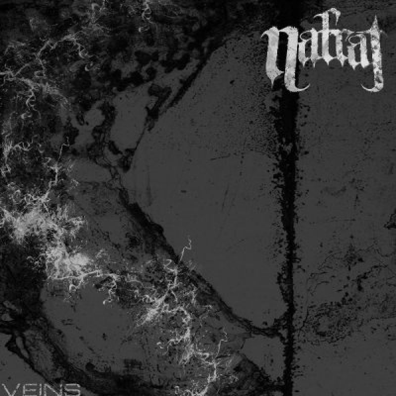 Nafrat (Singapore) - 'Veins' - Reviewed By Metal Digest!