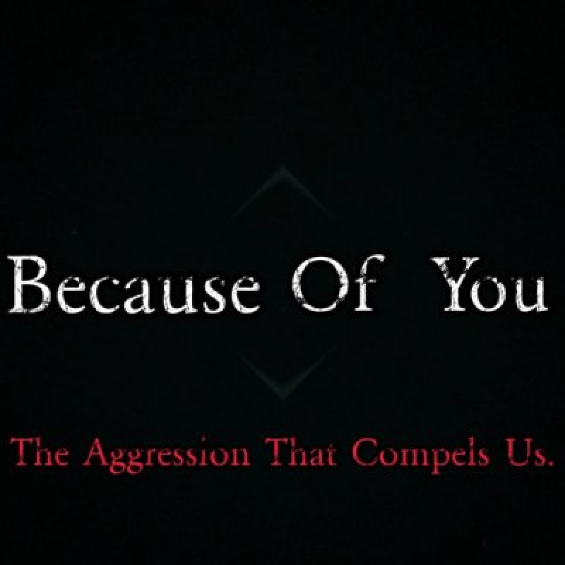 New Promo: TheLoopHoleConspiracy (USA) - Because of You: The Aggression That Compels Us - (Metal)