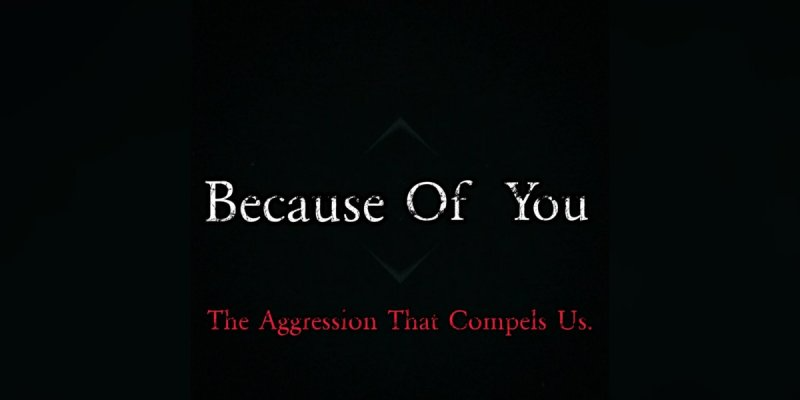 TheLoopHoleConspiracy (USA) - Because Of You: The Aggression That Compels Us - featured At Pete's Rock News And Views!