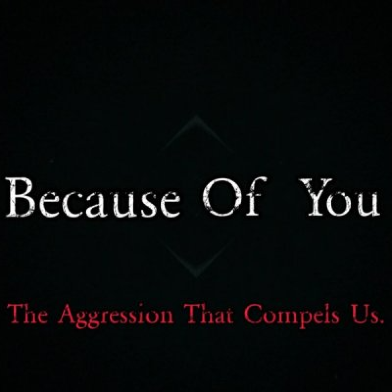 TheLoopHoleConspiracy (USA) - Because Of You: The Aggression That Compels Us - featured At Pete's Rock News And Views!