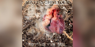Matt Schneider - Rotting The Soil - Featured At Pete Devine Rock News And Views!