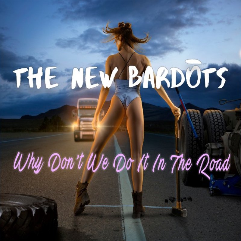 New Promo: THE NEW BARDOTS - Why Don’t We Do It In The Road- (Rock and Roll)