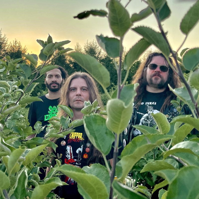 ACID WITCH set release date for new HELLS HEADBANGERS album, reveal first track - also cover and tracklisting