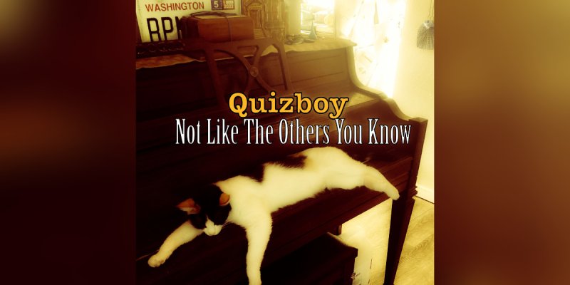 New Promo: Quizboy - Not Like The Others You Know - (Alternative, Emo, Grunge, Garage Rock)