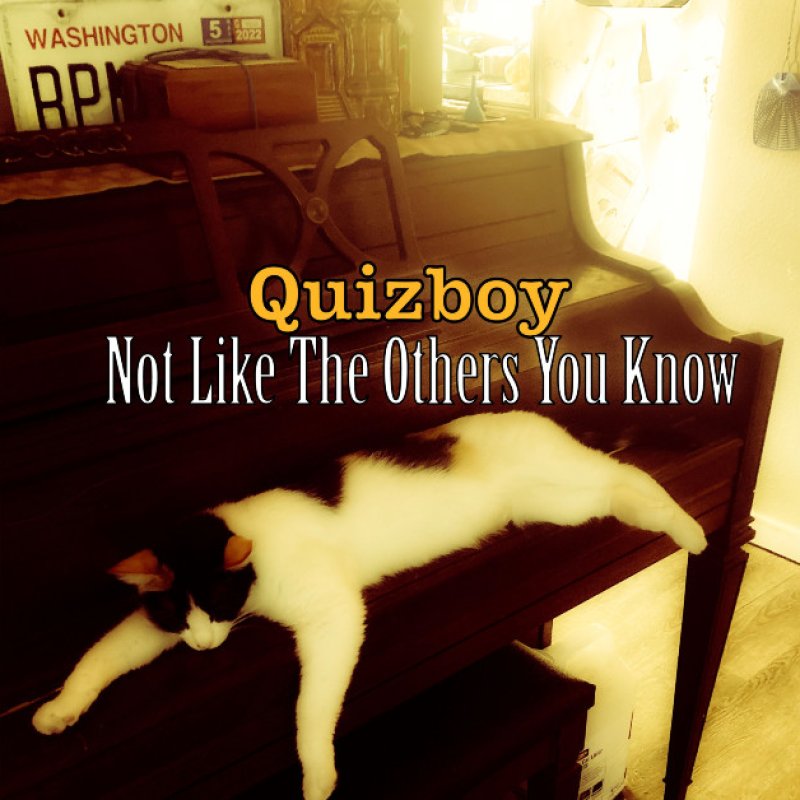 New Promo: Quizboy - Not Like The Others You Know - (Alternative, Emo, Grunge, Garage Rock)