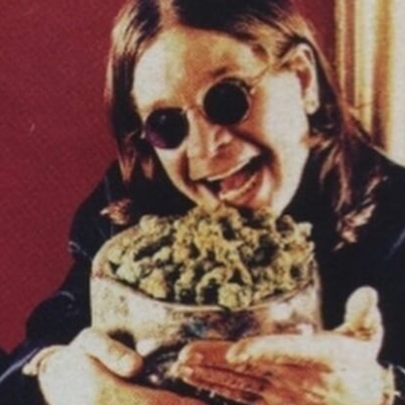 The Connection Between Cannabis and Music