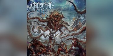 Epidermal Veil - Psalms of the Flayed - Reviewed By Metal Digest!