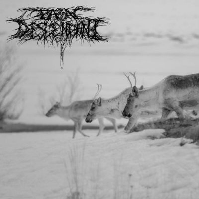 Pain Descendant - Solemn Tortured Apostle - Reviewed By occultblackmetalzine!
