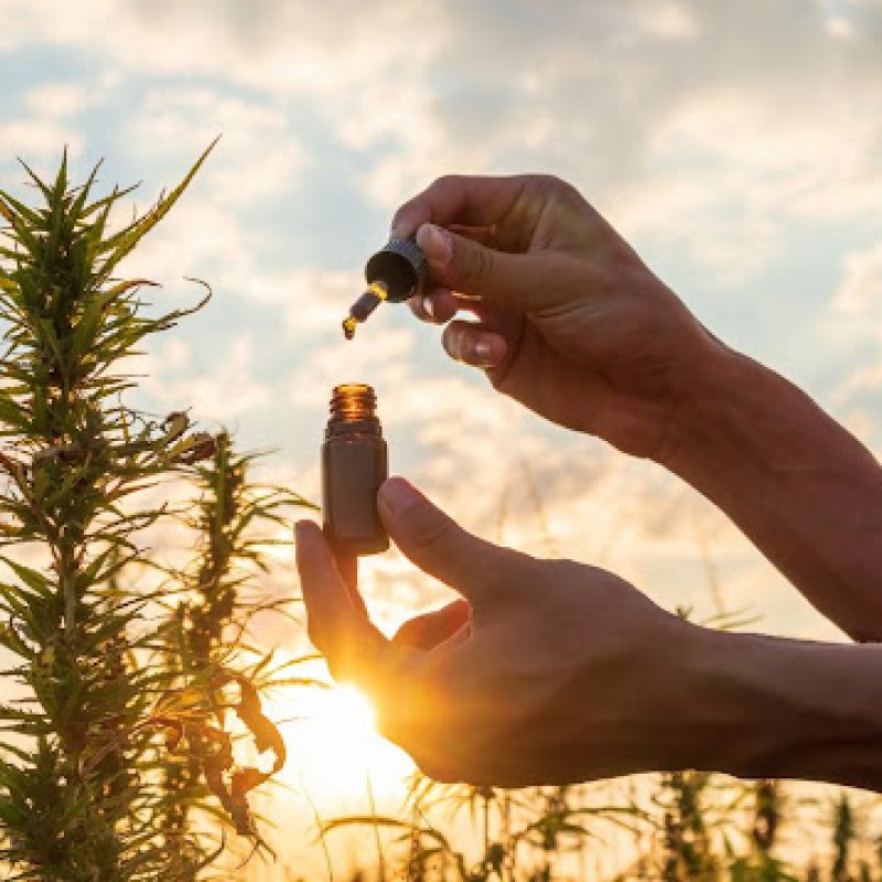 What Are The Side Effects Of Consuming CBD?