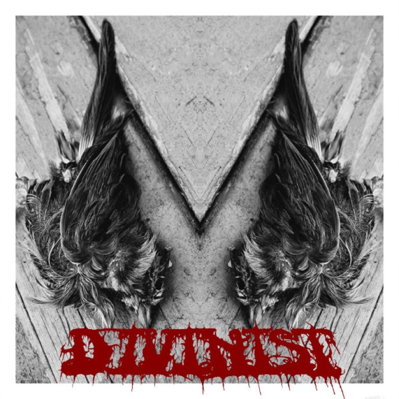 New Promo: Divinist - Selt Titled - (Death/Doom) - (Necrotic Records)