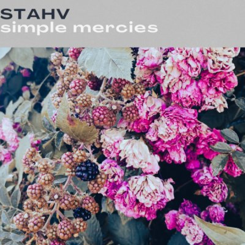 STAHV - Simple Mercies - Reviewed By 195metalcds!