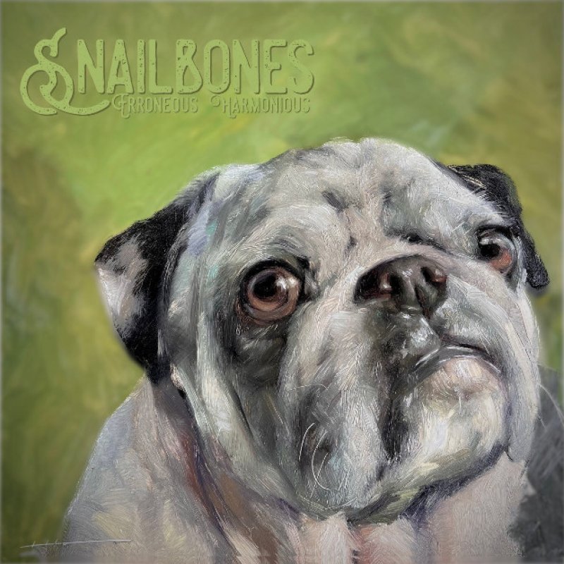 New Promo: Snailbones - Erroneous Harmonious - (noise rock, grunge, post punk)