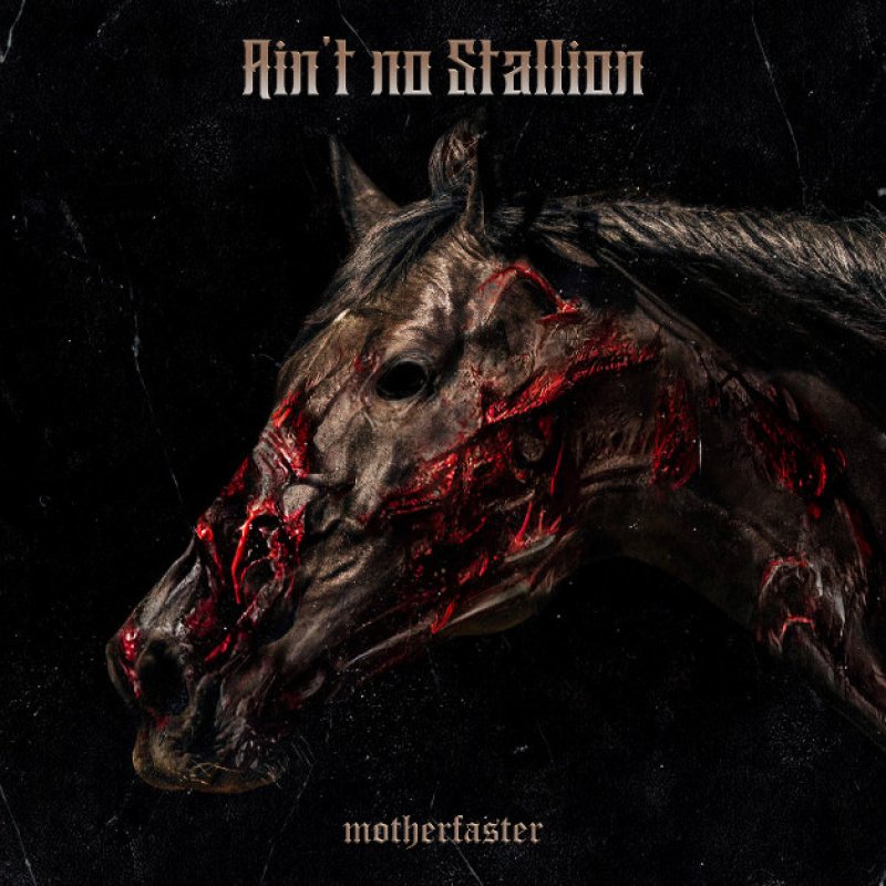 New Single: Motherfaster - Ain't no Stallion - (Heavy metal - Hard Rock)