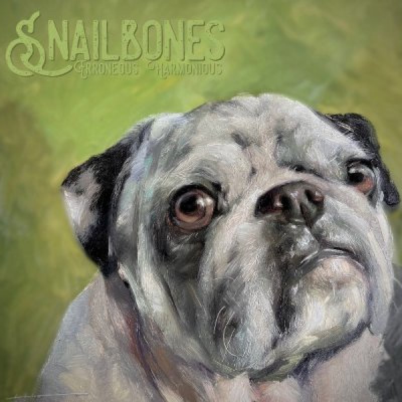 Snailbones - Erroneous Harmonious - Reviewed By  Powerplay Rock & Metal Magazine!