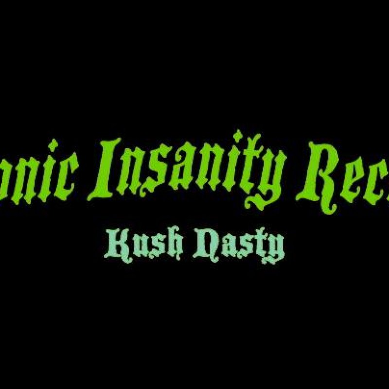 Label Interview: CHRONIC INSANITY RECORDS by Dave Wolff