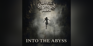New Promo: Where Shadows Dwell - Into The Abyss - (Old School Metalcore)