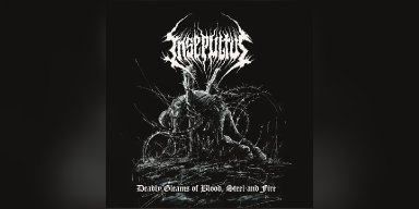 New Promo: Insepultus Unveils Debut Album: "Deadly Gleams of Blood, Steel and Fire" - (Black Metal)