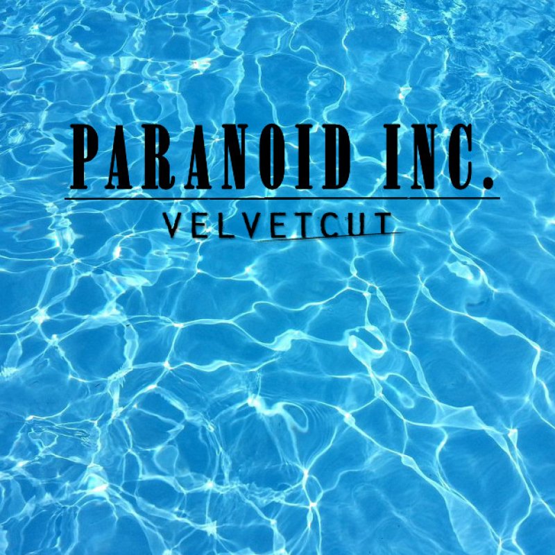 Press Release: Velvetcut Announces New 4-Track EP Paranoid Inc. – A Grunge Revival with a Modern Edge