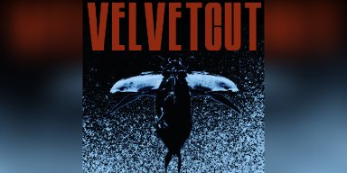 VELVETCUT Makes Triumphant Return with New Single Lady! (Panic Is On The Way) – Out January 16, 2025