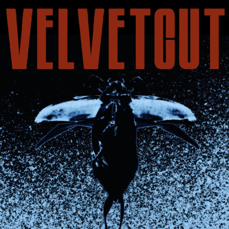 VELVETCUT Makes Triumphant Return with New Single Lady! (Panic Is On The Way) – Out January 16, 2025