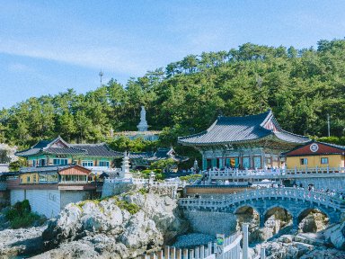 Inje Office: Exploring the Potential of Gangwon Province’s Natural Gem