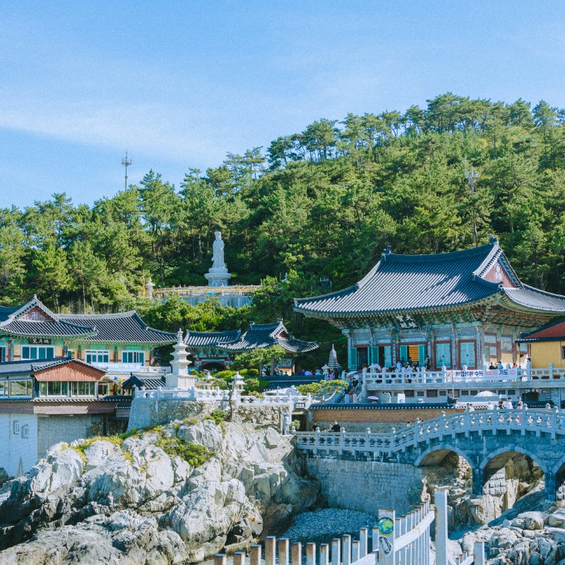 Inje Office: Exploring the Potential of Gangwon Province’s Natural Gem