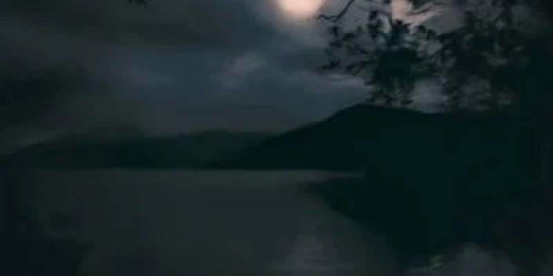 Interview with Nyctopia