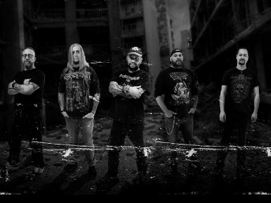 ROTTING EMPIRE Unleash Re-Recorded Classic &ldquo;Images Of War&rdquo; &ndash; New Single & Video Out March 29, 2026