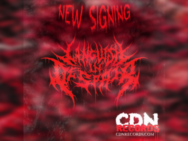 LANGUISH IN DESPAIR UNLEASH NEW ALBUM STRAIN OF PROFANITY AND RELEASE BRUTAL SINGLE &ldquo;KILLING SPREE&rdquo;