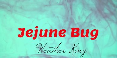 Alternative Rock Band Weather King Releases Single "Jejune Bug" November 9, 2018