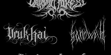 DRUADAN FOREST reveal new song from upcoming three-way split with BANNWALD and URUK-HAI, to be released by ANTIQ