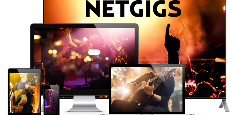 The introduction you need to Netgigs!