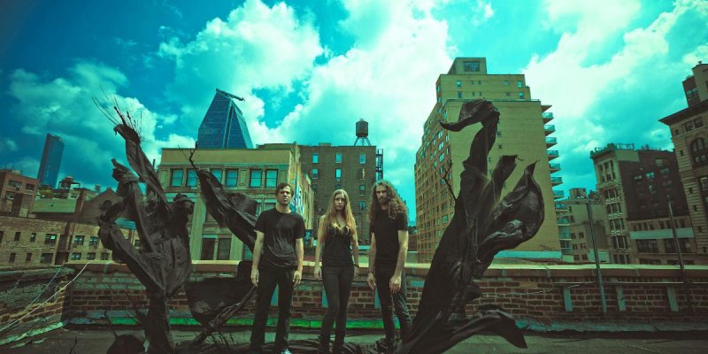 TITAN TO TACHYONS: PopMatters Premieres "Earth, And Squidless" From NYC Trio With Current/Former Orbweaver, Secret Chiefs 3, Cleric, And John Zorn Members; Cactides LP Nears Nefarious Industries Release