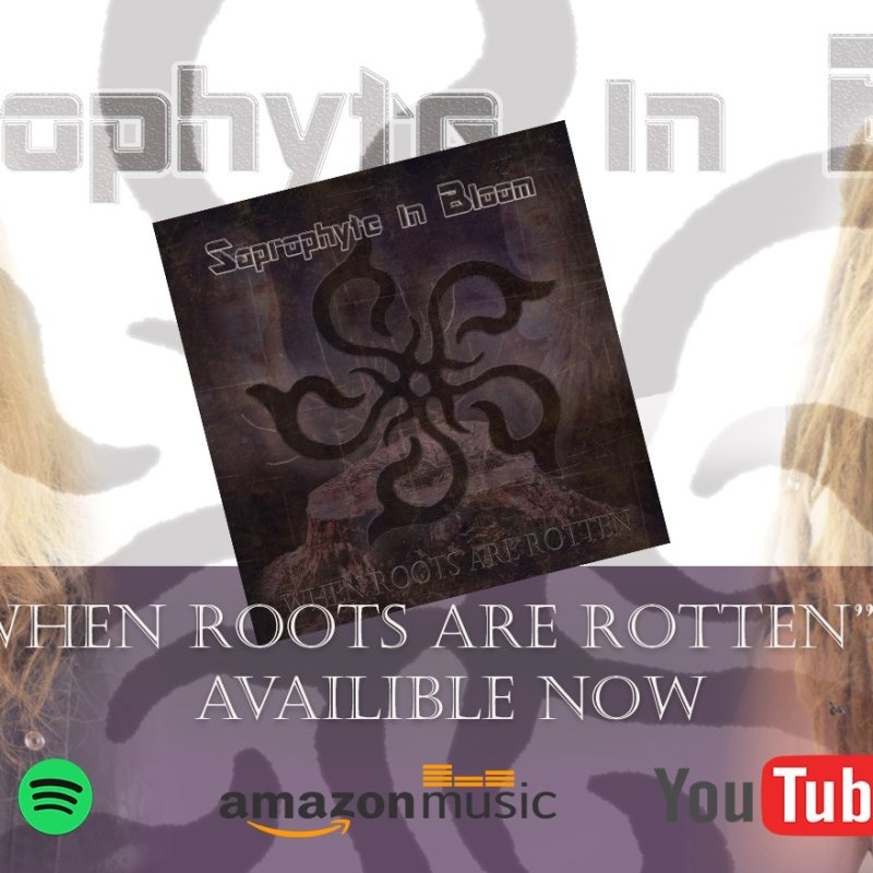 Saprophyte In Bloom Wins Battle Of The Bands This Week!