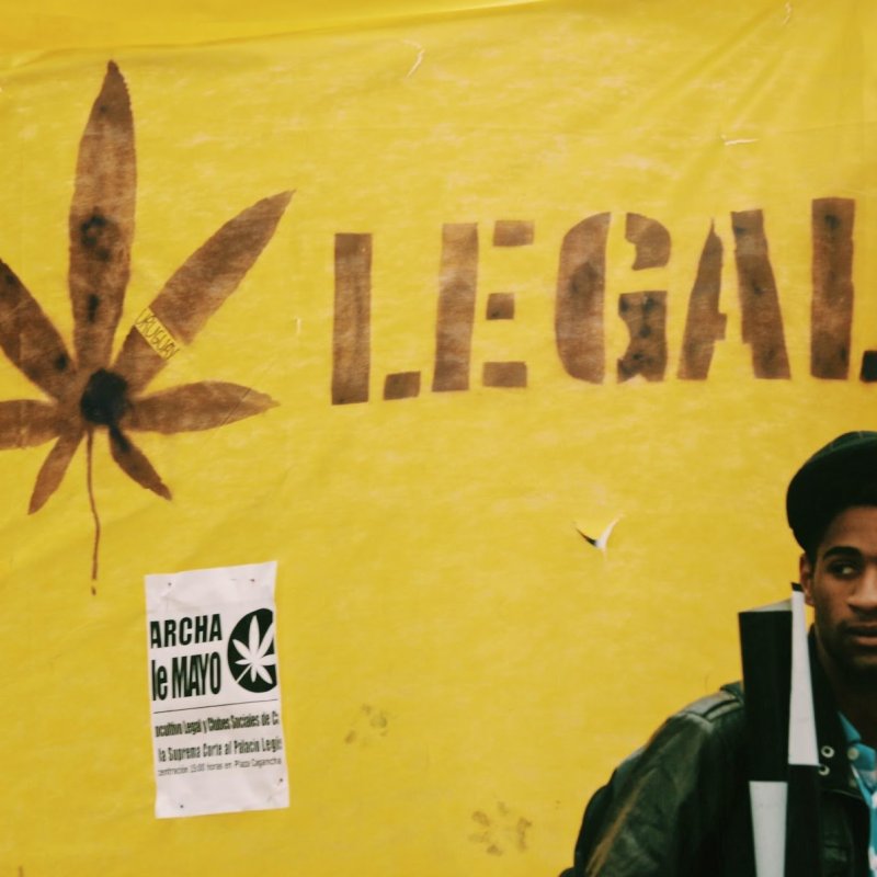 3 Exciting Things I Wish I Had Known About Cannabis