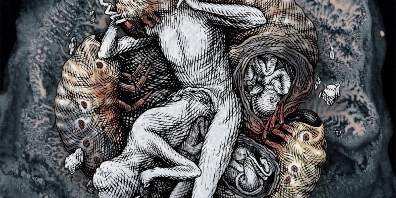 ACROSS THE SWARM: Italian death metallers premiere new album "Projections"