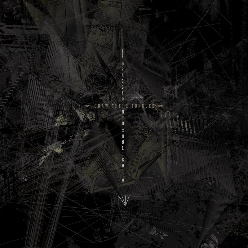 N​.​V. by Dragged Into Sunlight/Gnaw Their Tongues