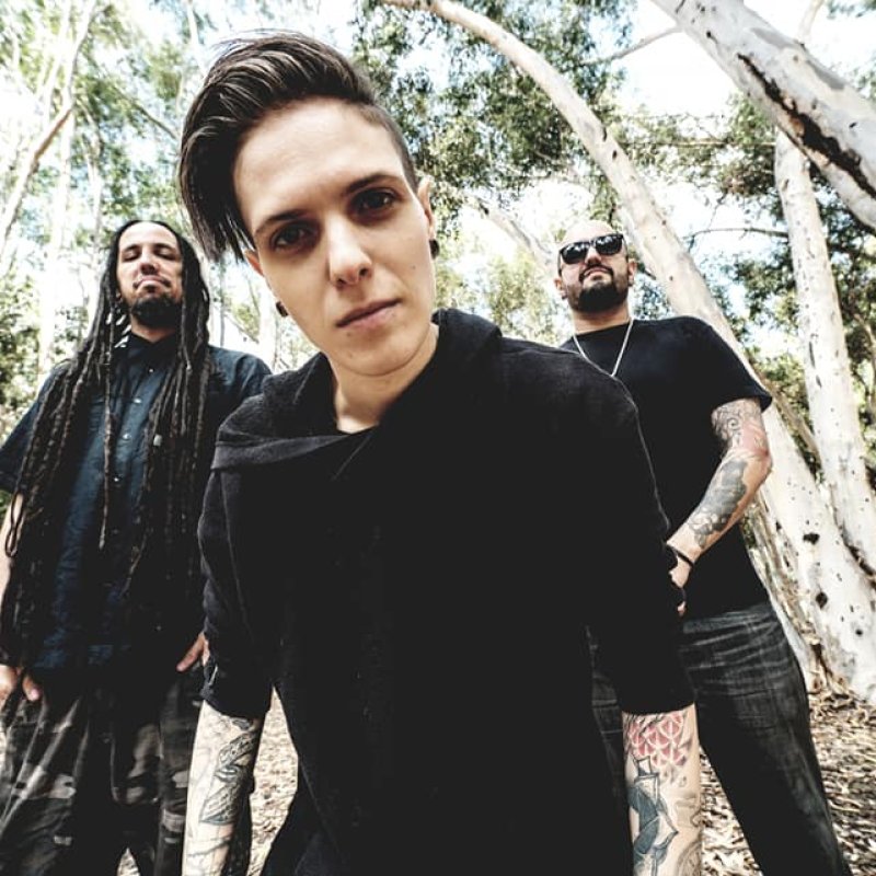 Matriarchs - Year Of The Rat - Streaming At Good N Plenty Radio!