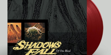 SHADOWS FALL TO REISSUE ‘OF ONE BLOOD’ ON BLACK FRIDAY 2020