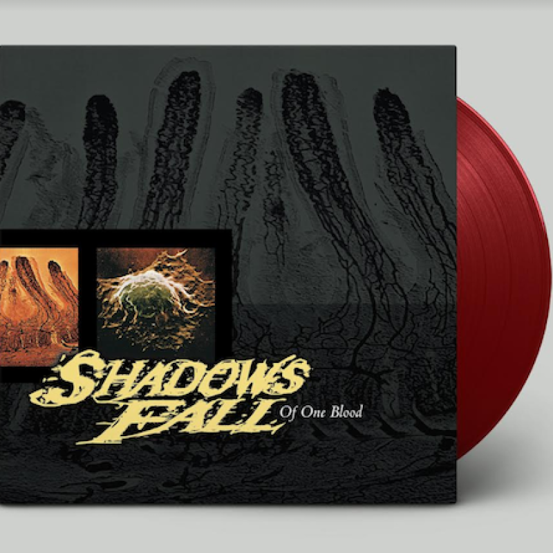 SHADOWS FALL TO REISSUE ‘OF ONE BLOOD’ ON BLACK FRIDAY 2020