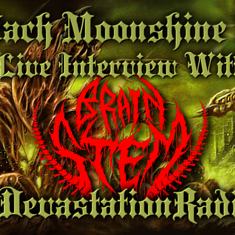 Brain Stem - Live Interview - The Zach Moonshine Show