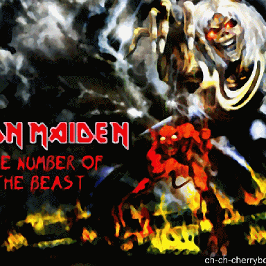 iron maiden  (8)