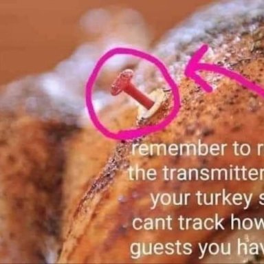 turkey spy