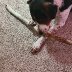 maya`s stick 