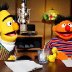 bert n ernie show