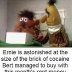 bert n ernie brick