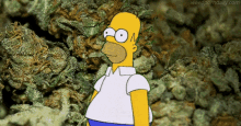 weed-420
