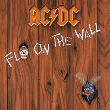 acdc-acdc-fly-on-the-wall